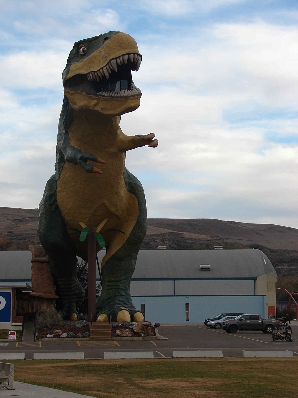 13-Le plus grand T-Rex au monde